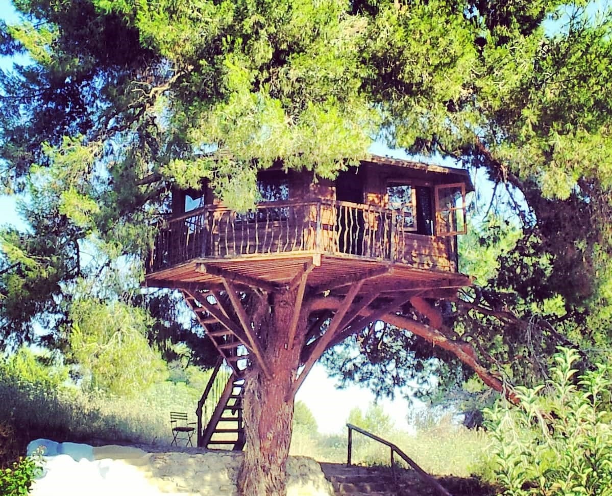 Tree Tiny House Near Sandy Beach