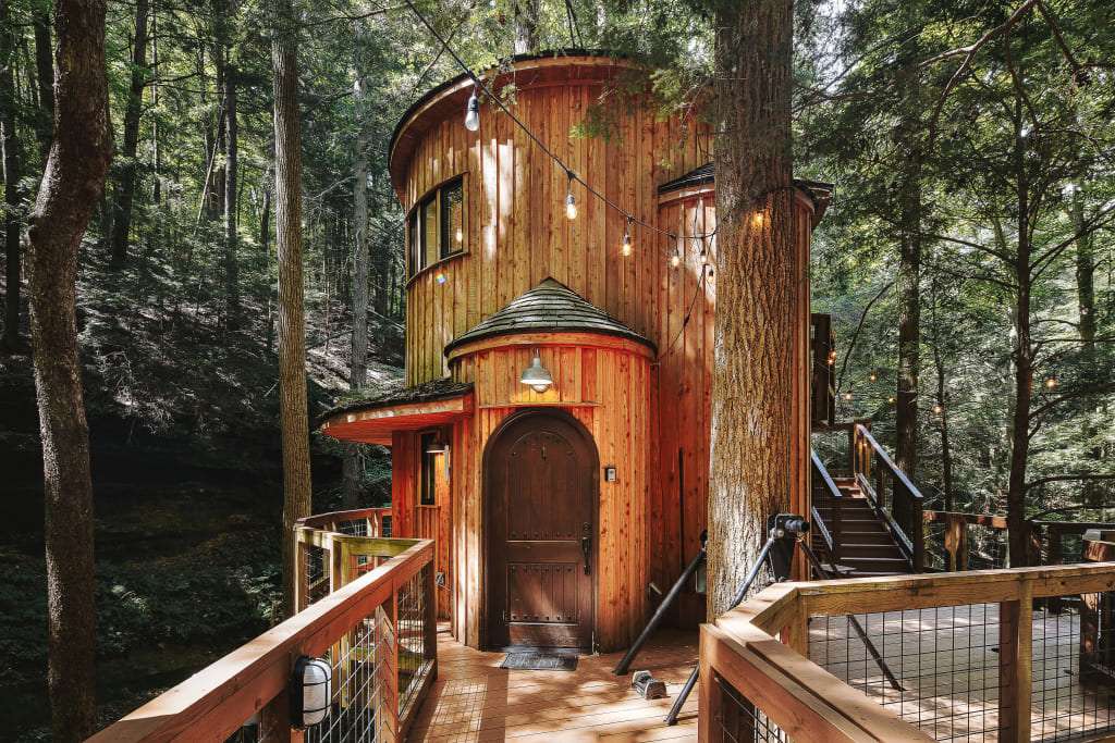 Hemlock Treehouse Cabin Built from Beech Wood